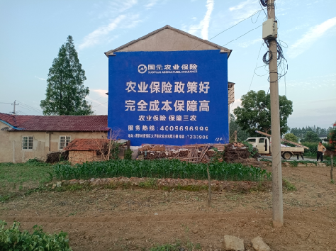 东兰墙体广告的优劣势你知道吗？